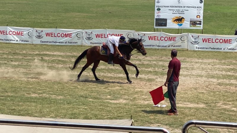tent-pegging-2124-2.jpg